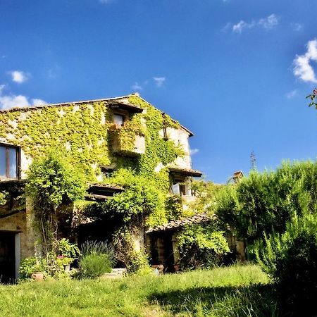 Гостевой дом Podere Patrignone Кастелина ин Шианти Экстерьер фото